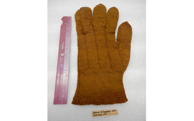 Single short glove left, 19th c.