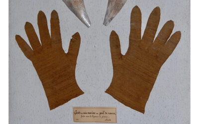 Pair of short man’s gloves, pair, 19th c.