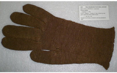 Short single man’s glove, 19th c.