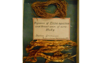 Spun sea silk yarn, 19th c.